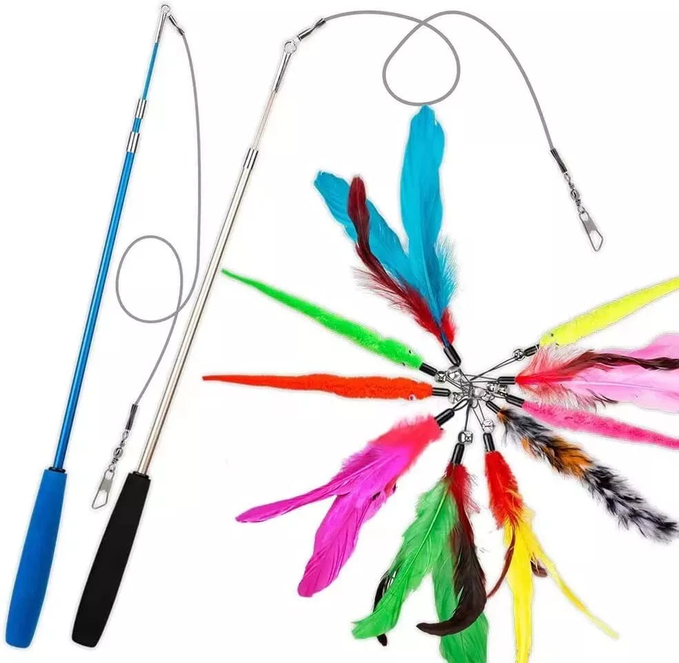 Cat Fishing Set - Interactive Toy With Feathers & Pendants
