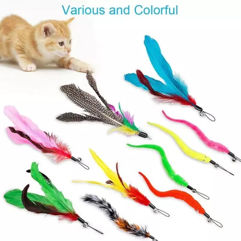 Cat Fishing Set - Interactive Toy With Feathers & Pendants