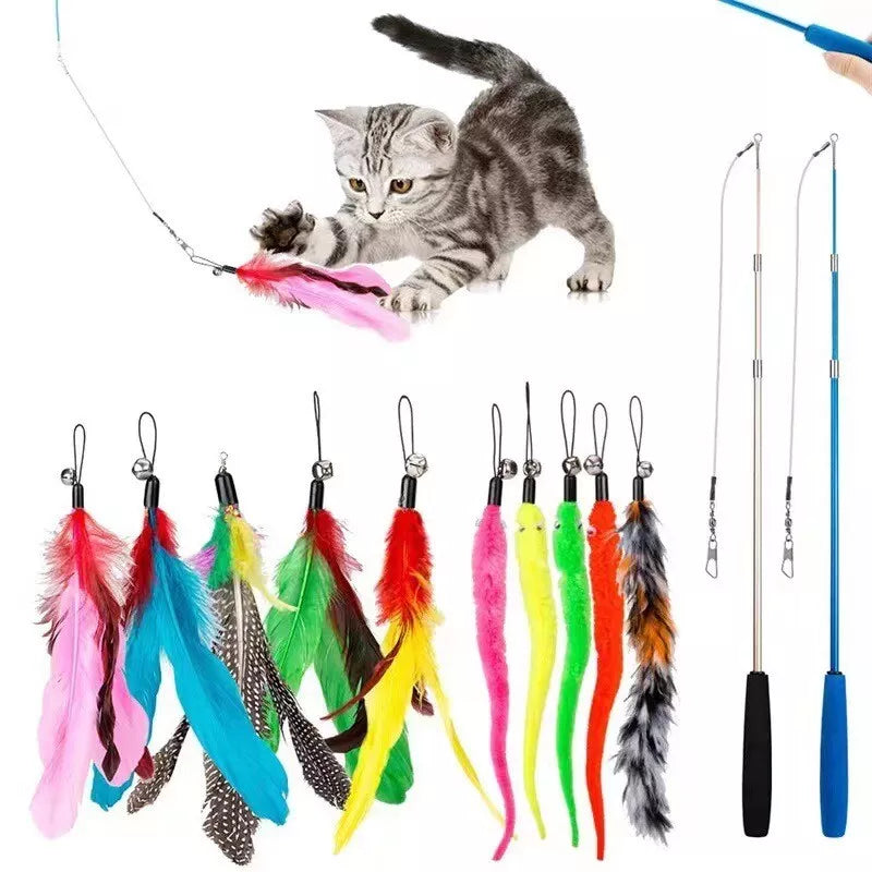 Cat Fishing Set - Interactive Toy With Feathers & Pendants