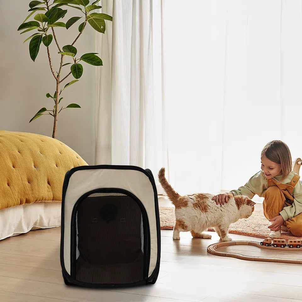 Stowable Pet Transport Box