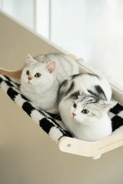 Practical Cat Hammock