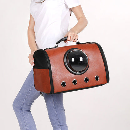 Airplane and Car Travel Bag for Pets