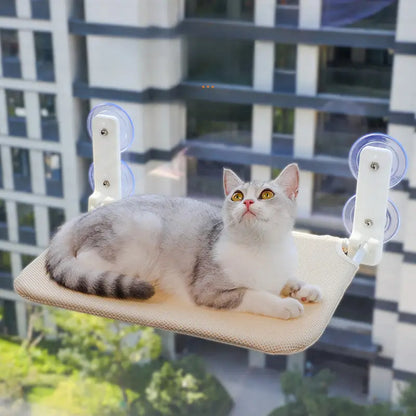 Folding Suction Cup Hammock For Cats