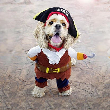 Creative Disguises For Pets