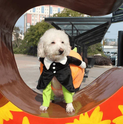 Fun Pumpkin Halloween Costume For Dogs