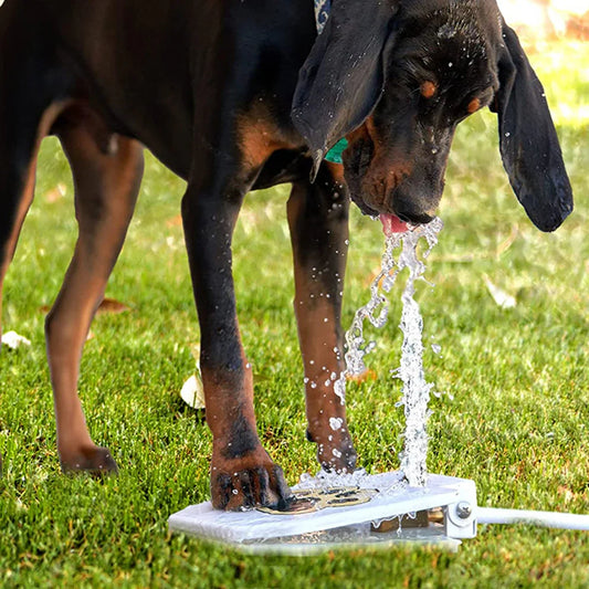 Interactive Dog Toy With Spray Fountain