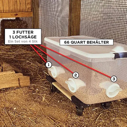 Self - Sufficient Chicken Feed System
