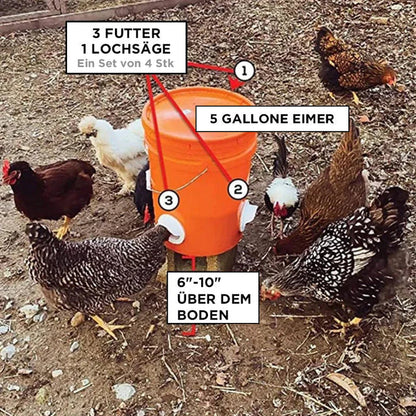 Self - Sufficient Chicken Feed System