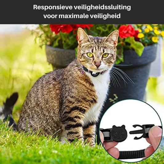 Cat Collar With Safety Clip
