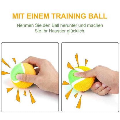 Interactive Ball Toy For Pets