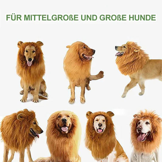 Lion's Mane Dog Costume