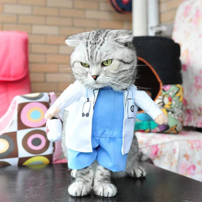 Creative Disguises For Pets