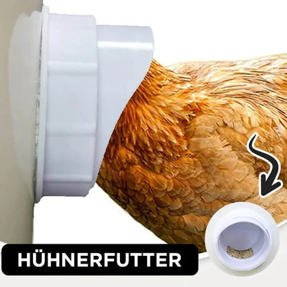 Self - Sufficient Chicken Feed System