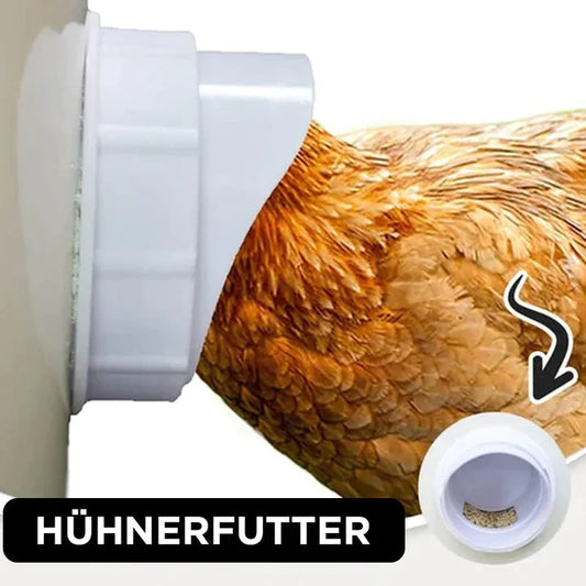 Self - Sufficient Chicken Feed System