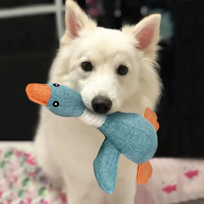 Robust Dog Toy (2 for 1 Offer)