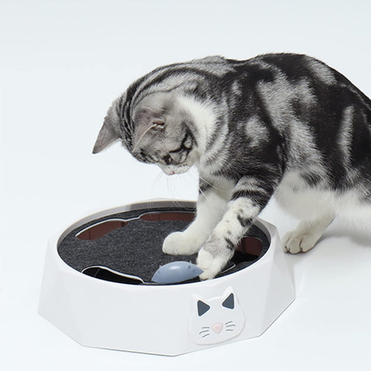 Interactive Mouse Hide - And - Seek Game For Cats