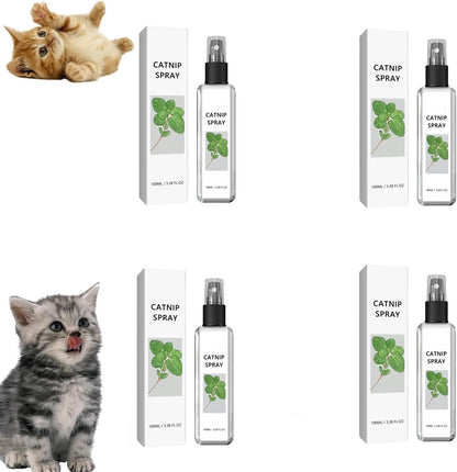 Silver Wine Cat Spray