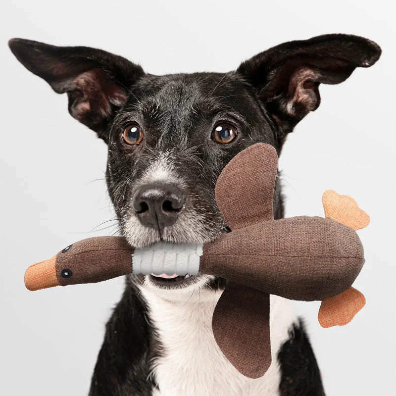 Robust Dog Toy (2 for 1 Offer)