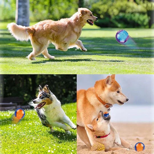 Durable Chew Ball For Dogs