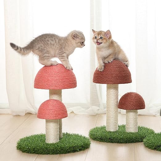 Cat Mushroom Scratching Post Made From Sisal
