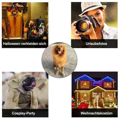 Lion's Mane Dog Costume