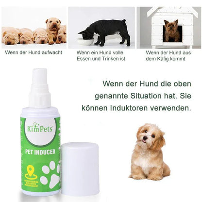 Instructions For The Targeted Placement Of The Pet Toilet