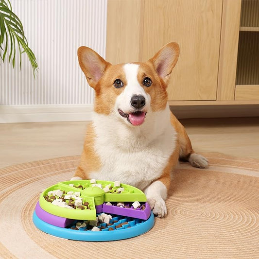 Busy Food Bowl With Different Levels