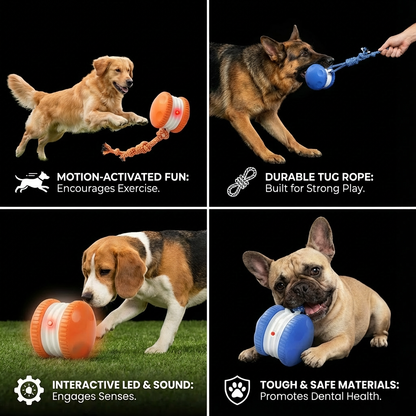 Interactive & Durable Dog Ball – Motion Toy with Tug Rope in Dog Colours