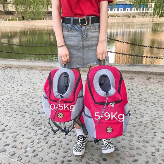 Comfortable And Safe Dog Transport Rucksack