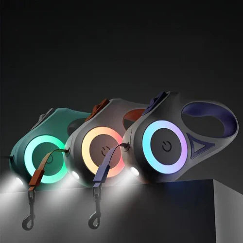 Dog Lead With Integrated Led Light