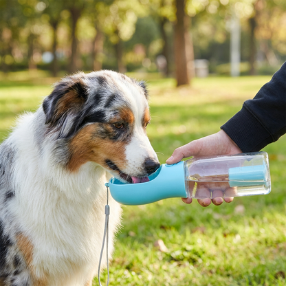 3-in-1 Dog Water Bottle – Travel Bottle with Food Container