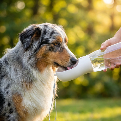 3-in-1 Dog Water Bottle – Travel Bottle with Food Container