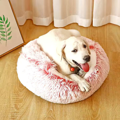 2in1 Dog Cuddle Cave