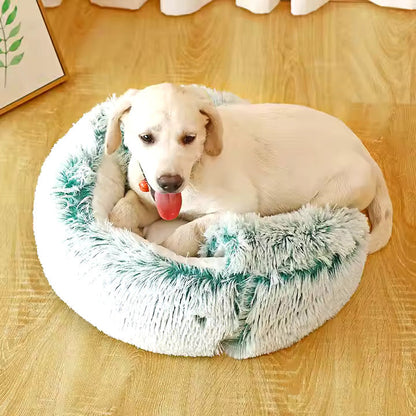 2in1 Dog Cuddle Cave