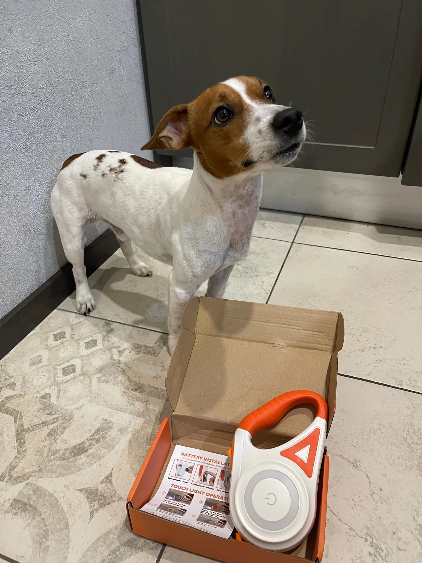 Dog Lead With Integrated Led Light