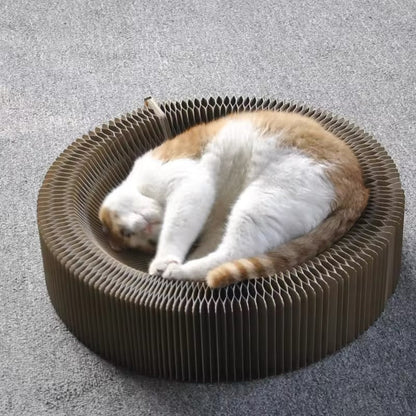 Magical Play And Scratching Bed For Cats