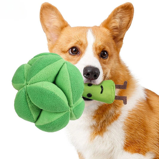 Sniffer Broccoli - Interactive Treat Toy