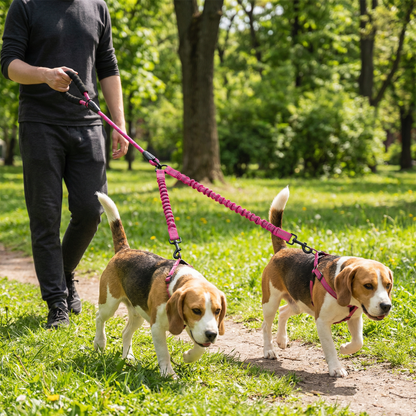 Easy Anti-Tangle Double Dog Leash