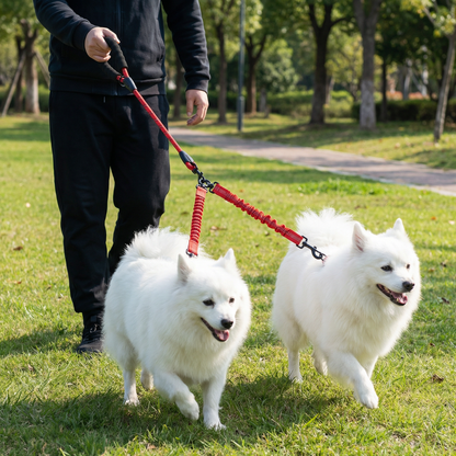 Easy Anti-Tangle Double Dog Leash