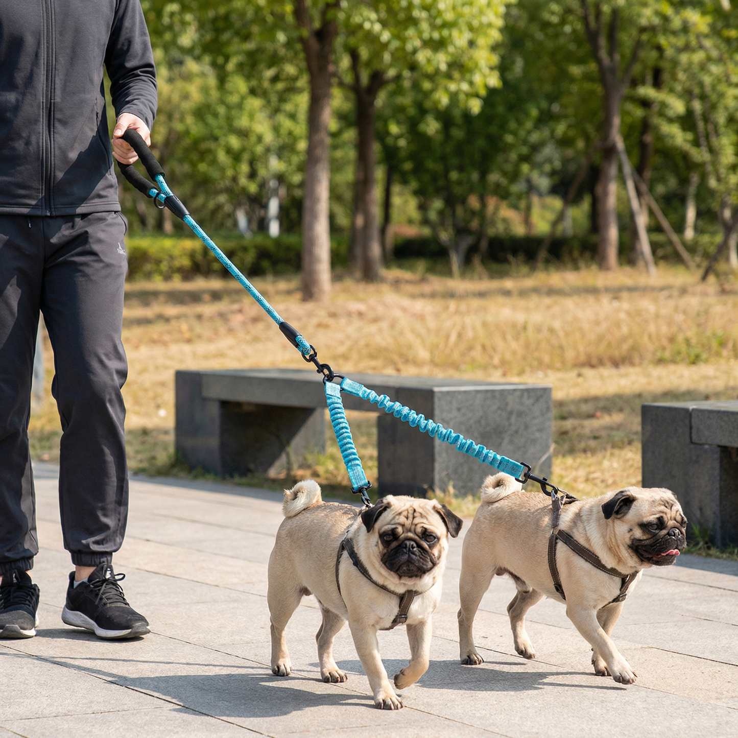 Easy Anti-Tangle Double Dog Leash
