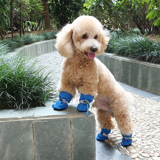 Dog Paw Boots For The Winter