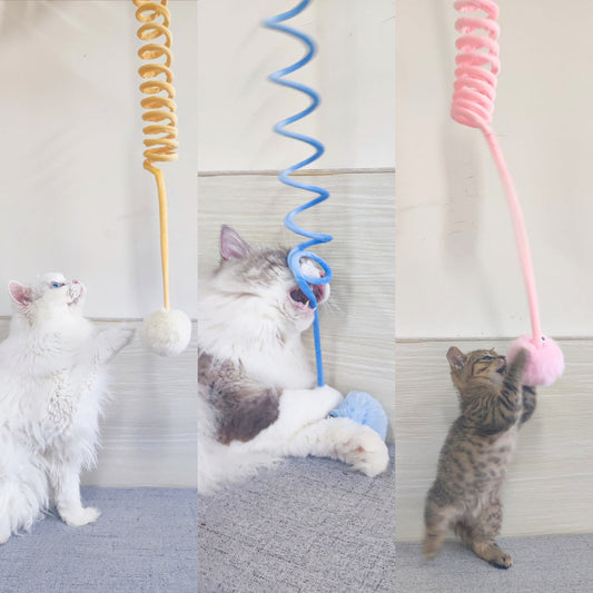 Interactive Elasticated Cat Toy