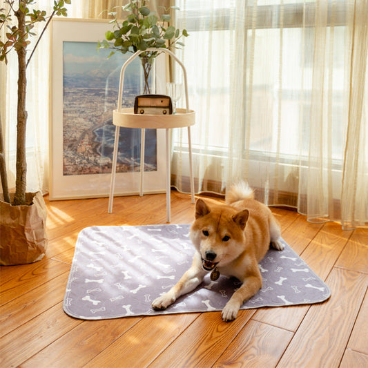 Pipi Mat For Dogs
