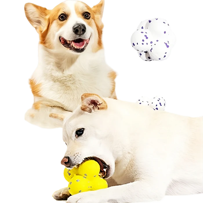 Durable Bouncing Ball for Dogs to Relieve Stress in Dog Colours