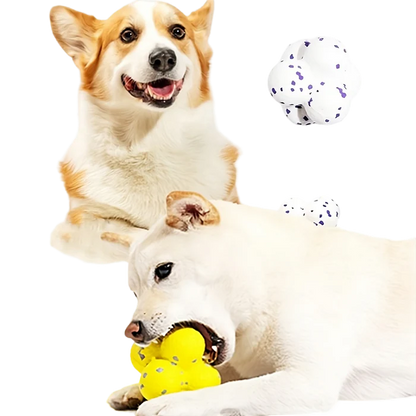Durable Bouncing Ball for Dogs to Relieve Stress in Dog Colours