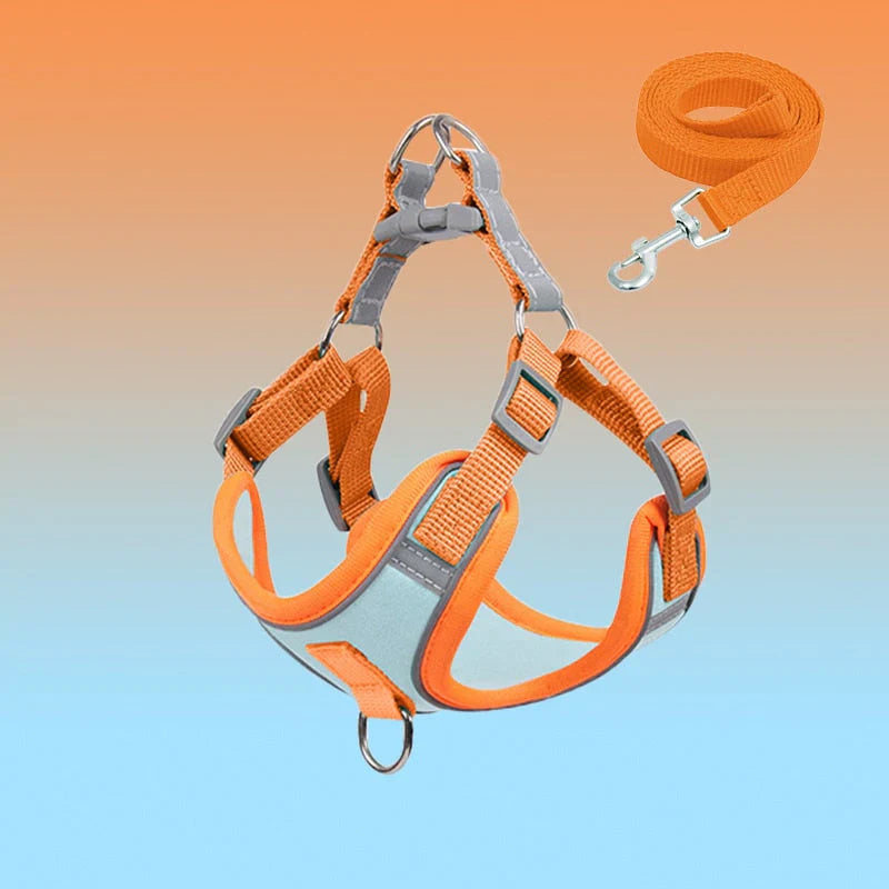 Reflective Dog Harness Set For Dogs