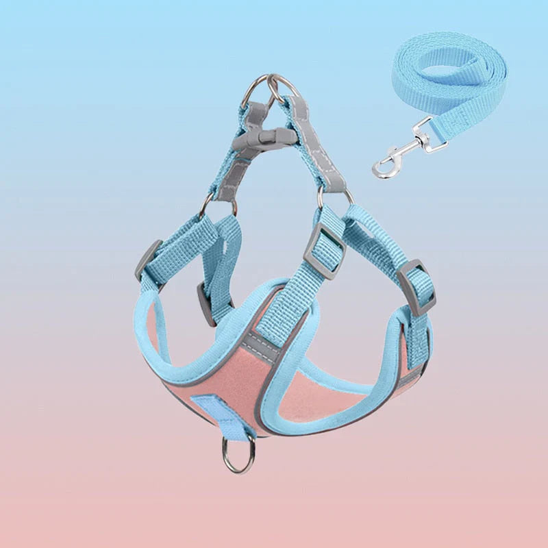 Reflective Dog Harness Set For Dogs