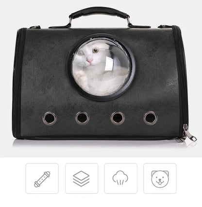 Airplane and Car Travel Bag for Pets