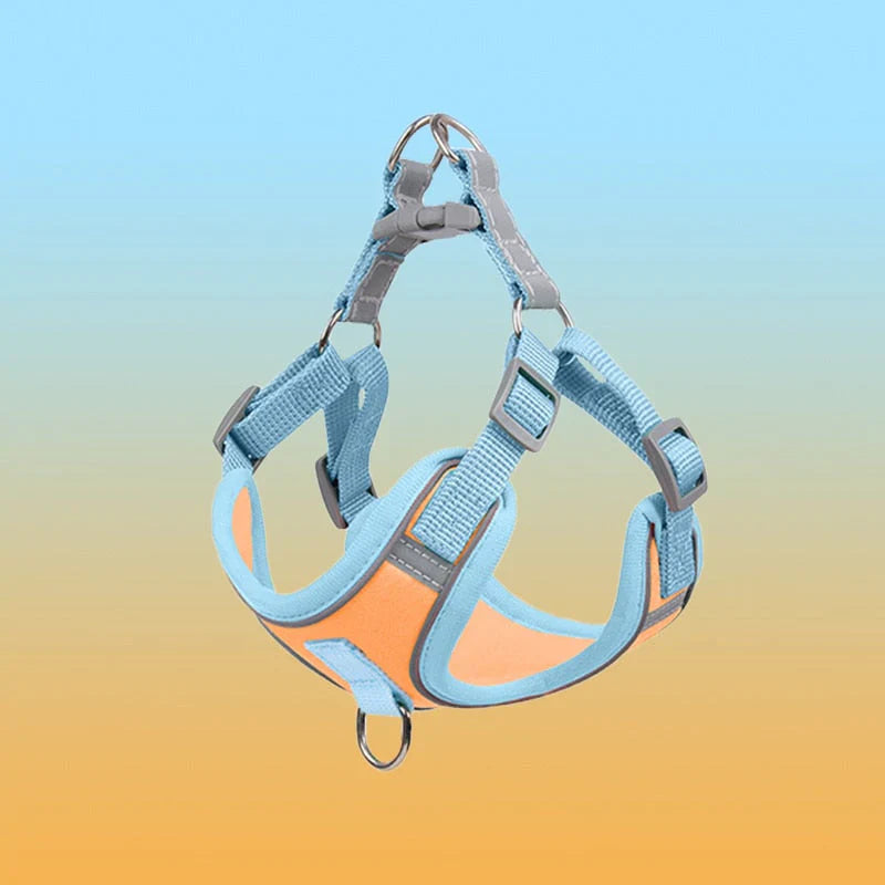 Reflective Dog Harness Set For Dogs