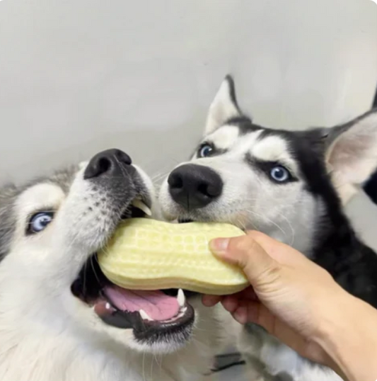 Tooth - Cleaning Chew Toy for Dogs In Peanut Design